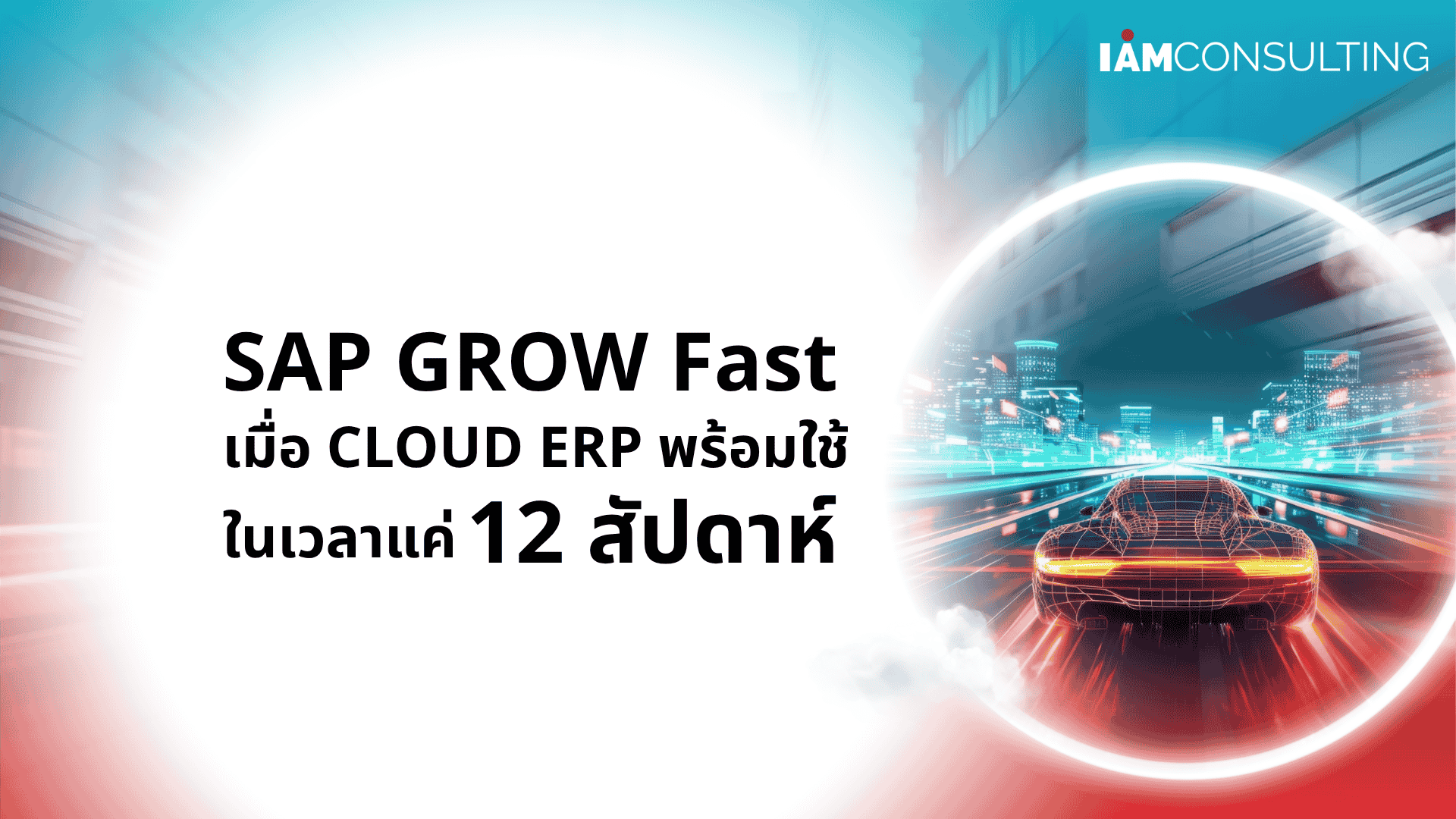 what is SAP GROW FAST